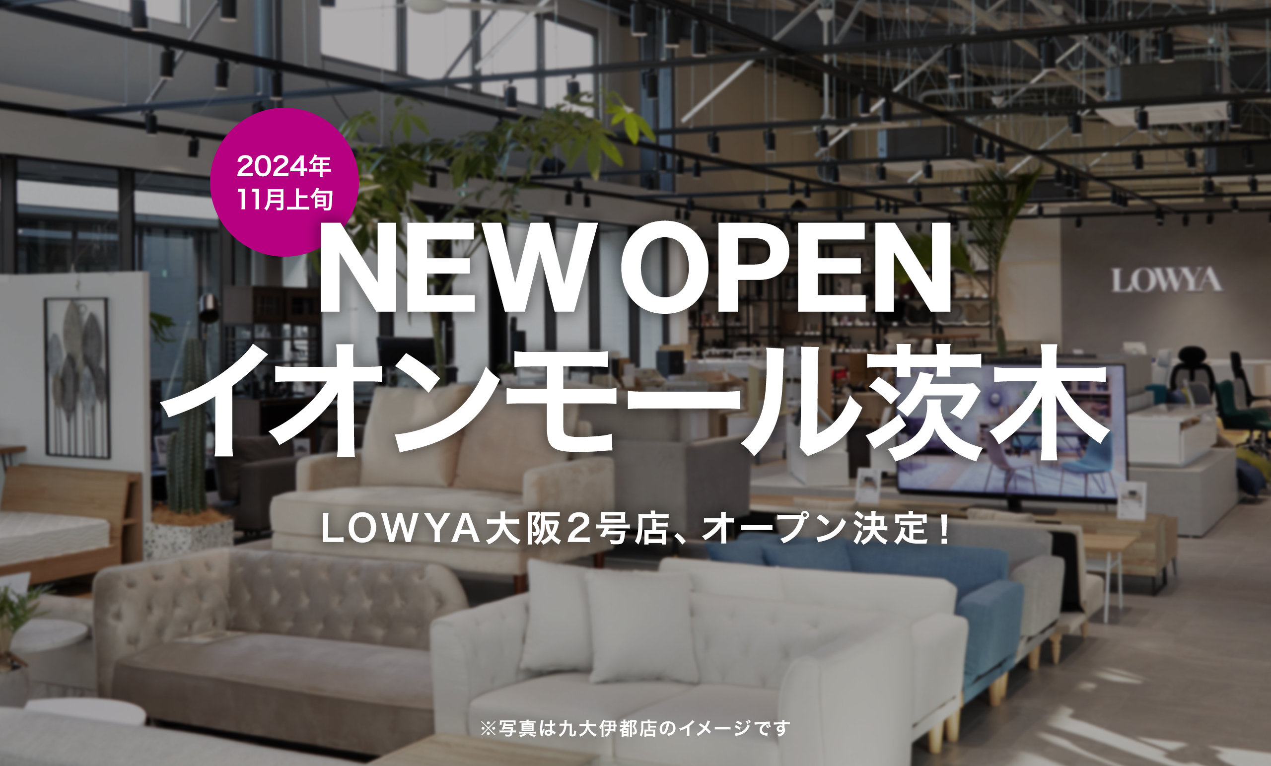 2024年11月イオンモール茨木に関西で2店舗目となるLOWYAの実店舗の開業 