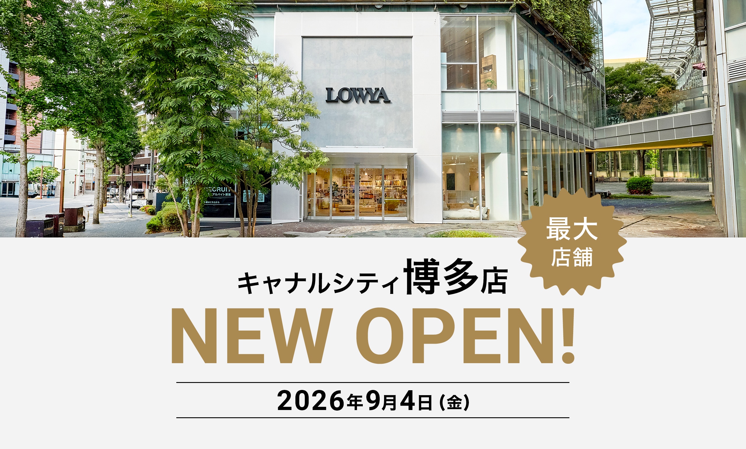 ブランド史上最大面積のLOWYAキャナルシティ博多店が<br/>9月4日(金)にオープン!